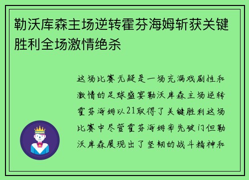 勒沃库森主场逆转霍芬海姆斩获关键胜利全场激情绝杀